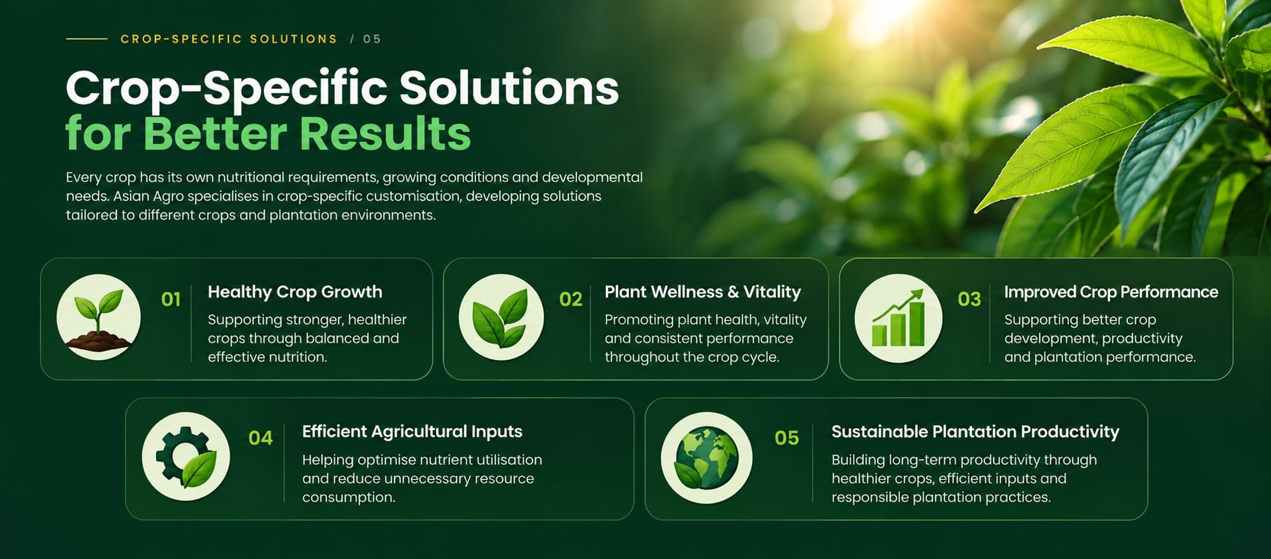 Penyelesaian Khusus Tanaman untuk Hasil Lebih Baik — Setiap tanaman mempunyai keperluan nutriennya sendiri, keadaan pertumbuhan dan keperluan pembangunan. Asian Agro pakar dalam penyesuaian khusus tanaman, membangunkan penyelesaian yang disesuaikan untuk tanaman dan persekitaran ladang yang berbeza.