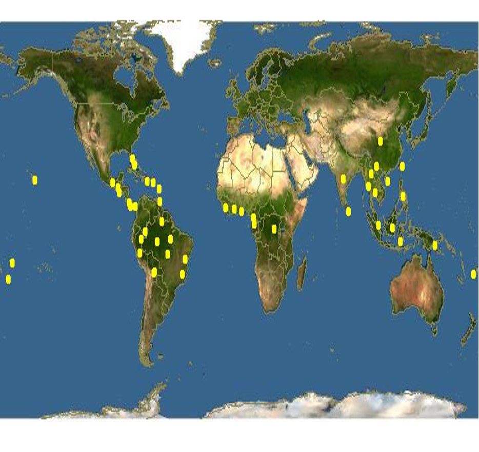 World map showing natural rubber plantation concentrations, with markers across Southeast Asia